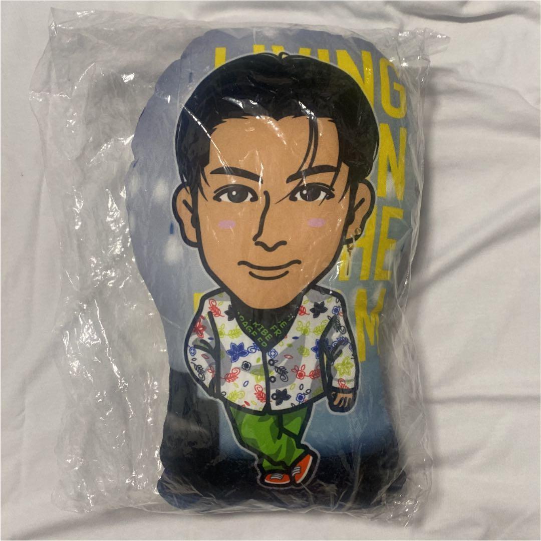 長谷川慎 リビドリ クッション