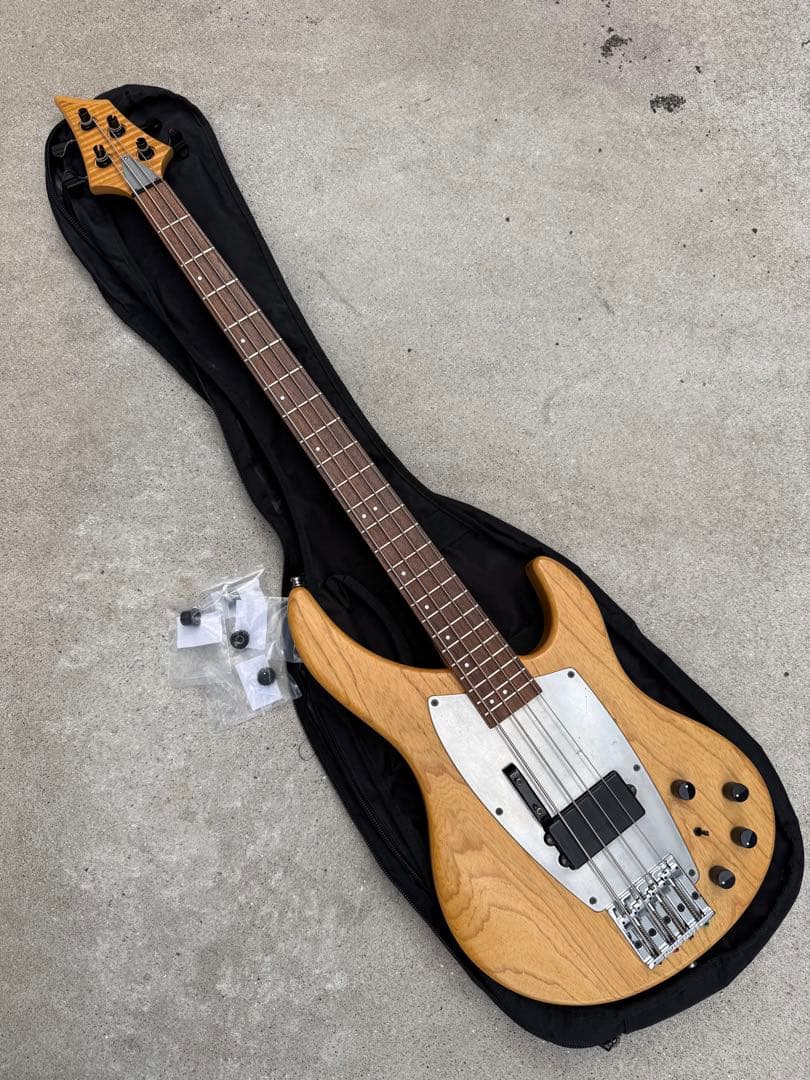 SELVA Ignite Bass ／ セルバ・イグナイト・ベース