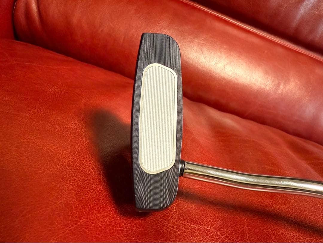 【超美品】ODYSSEY AI-ONE 2-BALL DBパター 【34】
