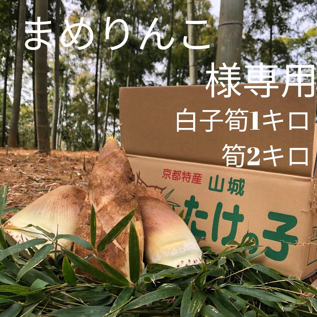 まめりんこ 白子筍1キロ筍2キロ クール