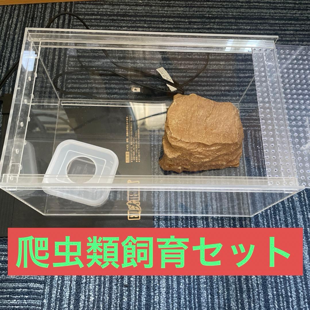 爬虫類飼育セット 中型