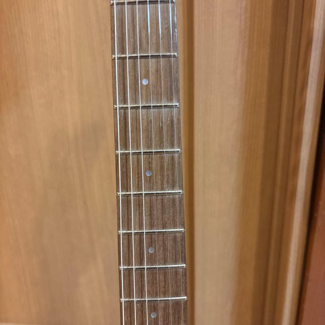 FERNANDES FSR-50 ブラックパーツ仕様 アーム・ストラップ　新品弦