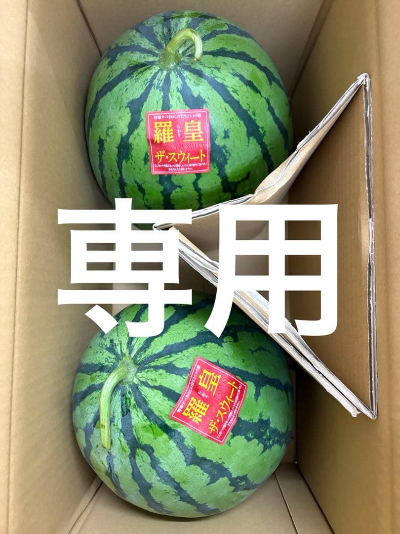 ここ！2ケース