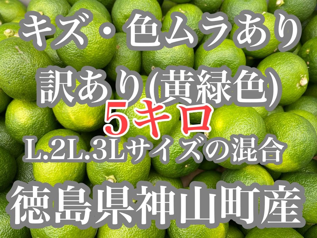 徳島県神山町産すだち《冷蔵貯蔵》5キロ　キズ・色ムラあり　黄緑色になります。2