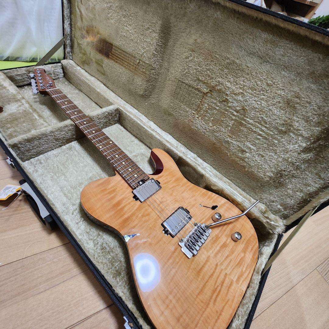 【最終値下げ】Harley Benton Fusion-T RoastedFNT