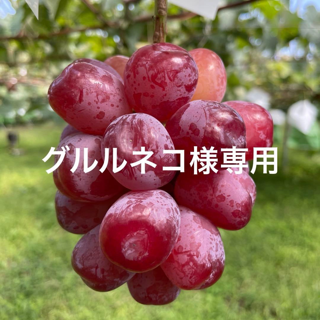 グルルネコ