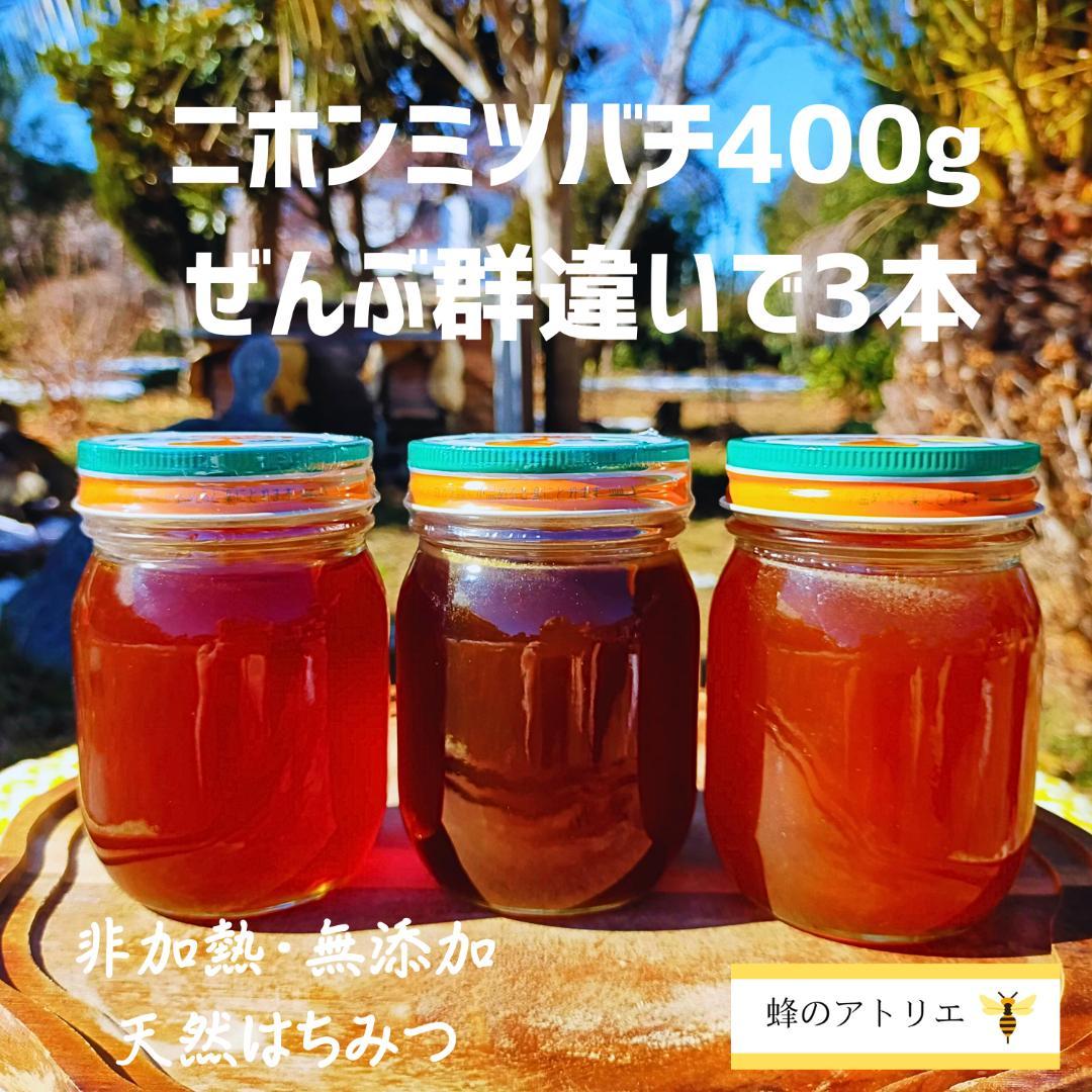 【ぜんぶ群違い】ニホンミツバチの国産百花蜜 400g×3本　非加熱無添加天然蜂蜜