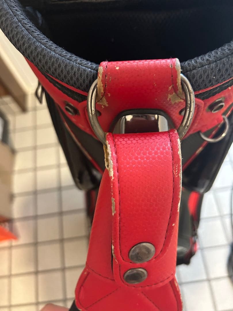 MIZUNO キャディバック
