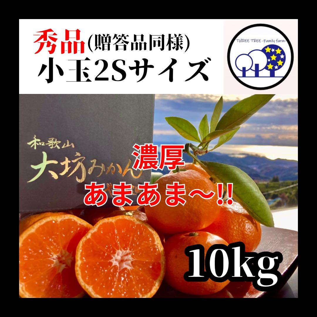 ②温州みかん 樹熟大坊みかん 秀品(贈答品同様)2Sサイズ10kg