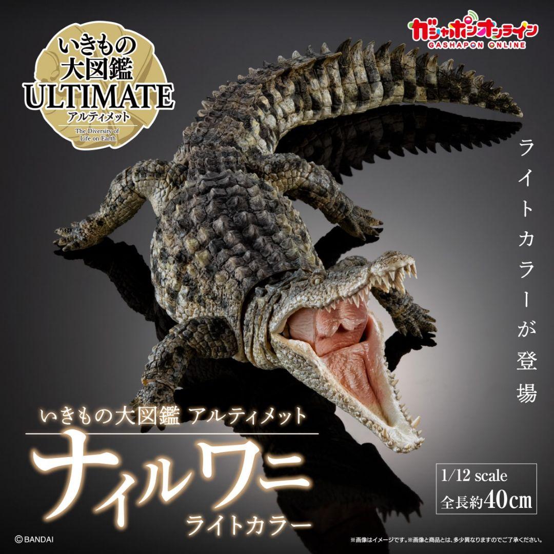 いきもの図鑑アルティメット　ナイルワニ(ライトカラー)
