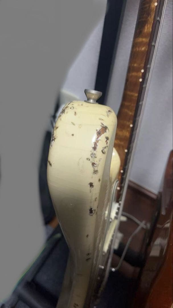 その他 Iconic guitars vintage model62s-hr
