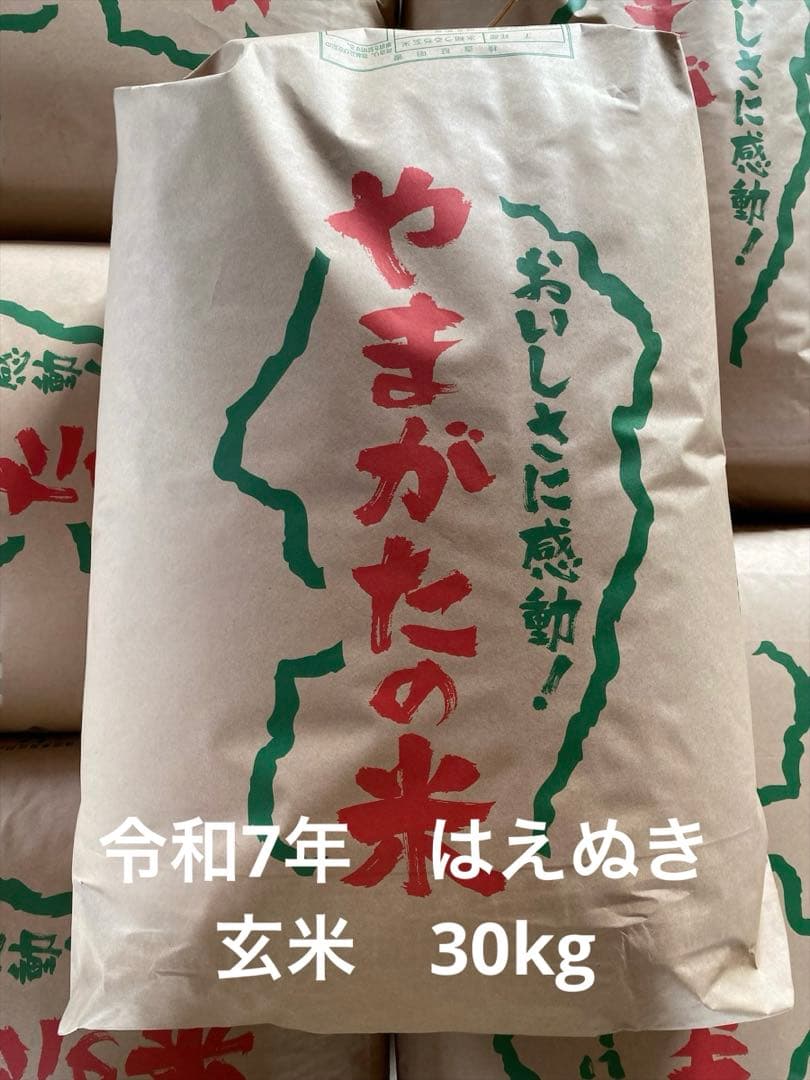 令和7年　はえぬき　30kg 玄米