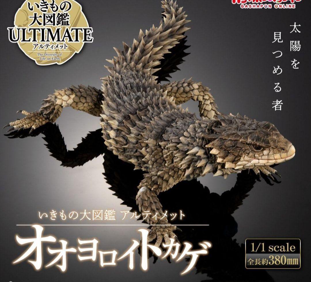 いきもの大図鑑アルティメット オオヨロイトカゲ
