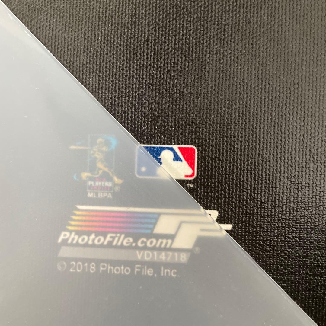 大谷翔平☆フォトキャンパス 2018 日本未発売 超貴重！