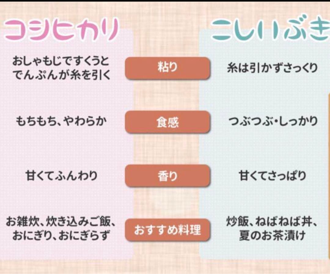 taco お米 10kg ほか