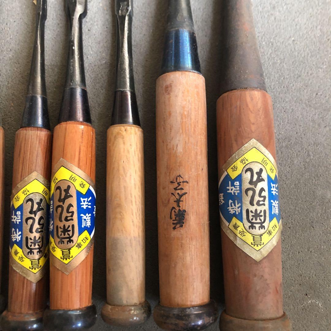 ノミ7点セット