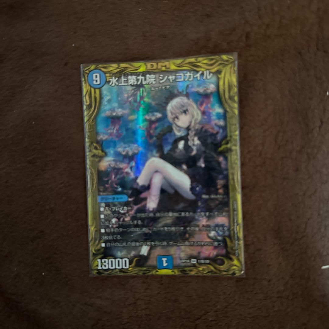 シャコガイル