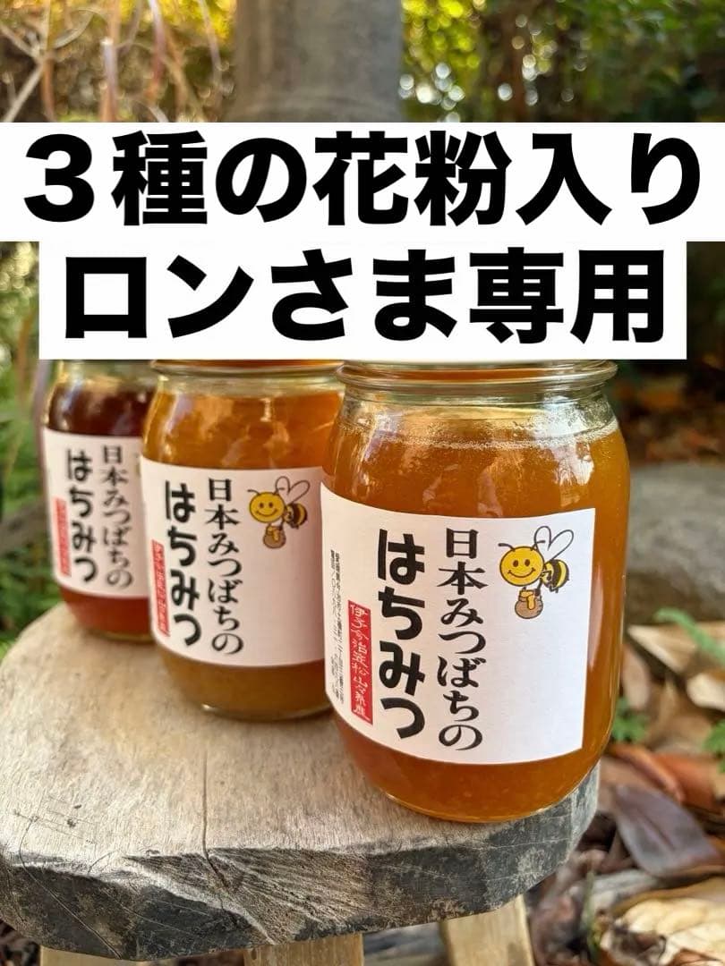 ハチミツ　日本蜜蜂の蜂蜜　花粉入りはちみつ　奥山の奥