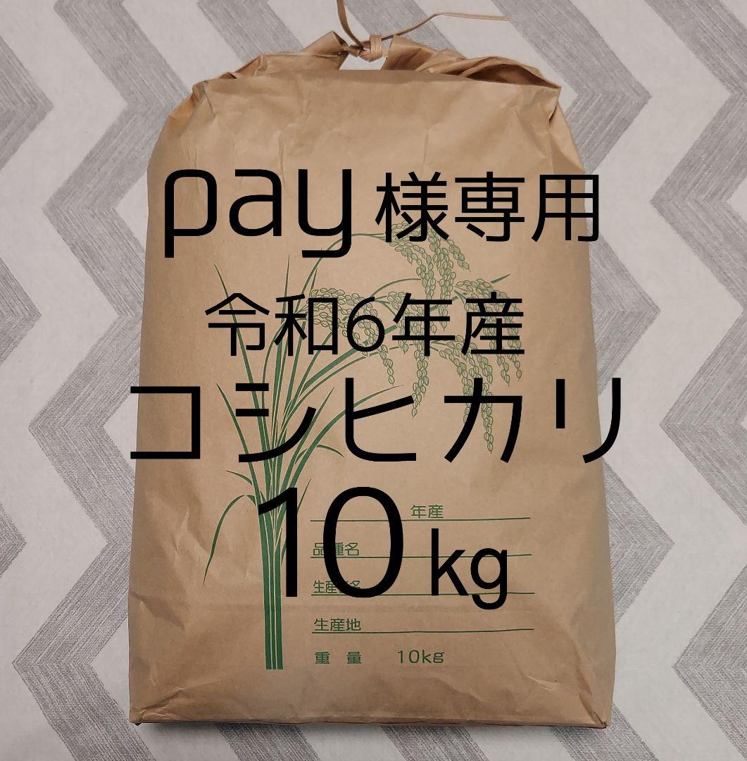 16payページ！