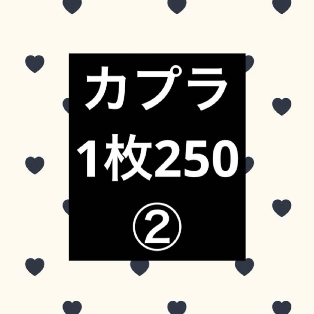 カプラ ②