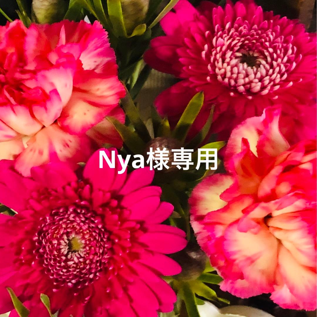 Nyaページ