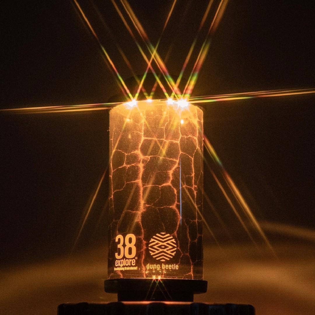 イベント限定 38-kT OKIBI 38explore dung beetle