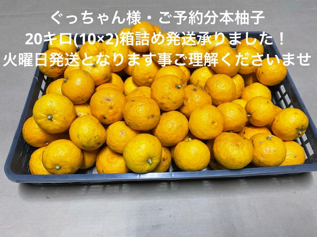 ぐっちゃん様・ご予約分　本柚子20キロ承りました！