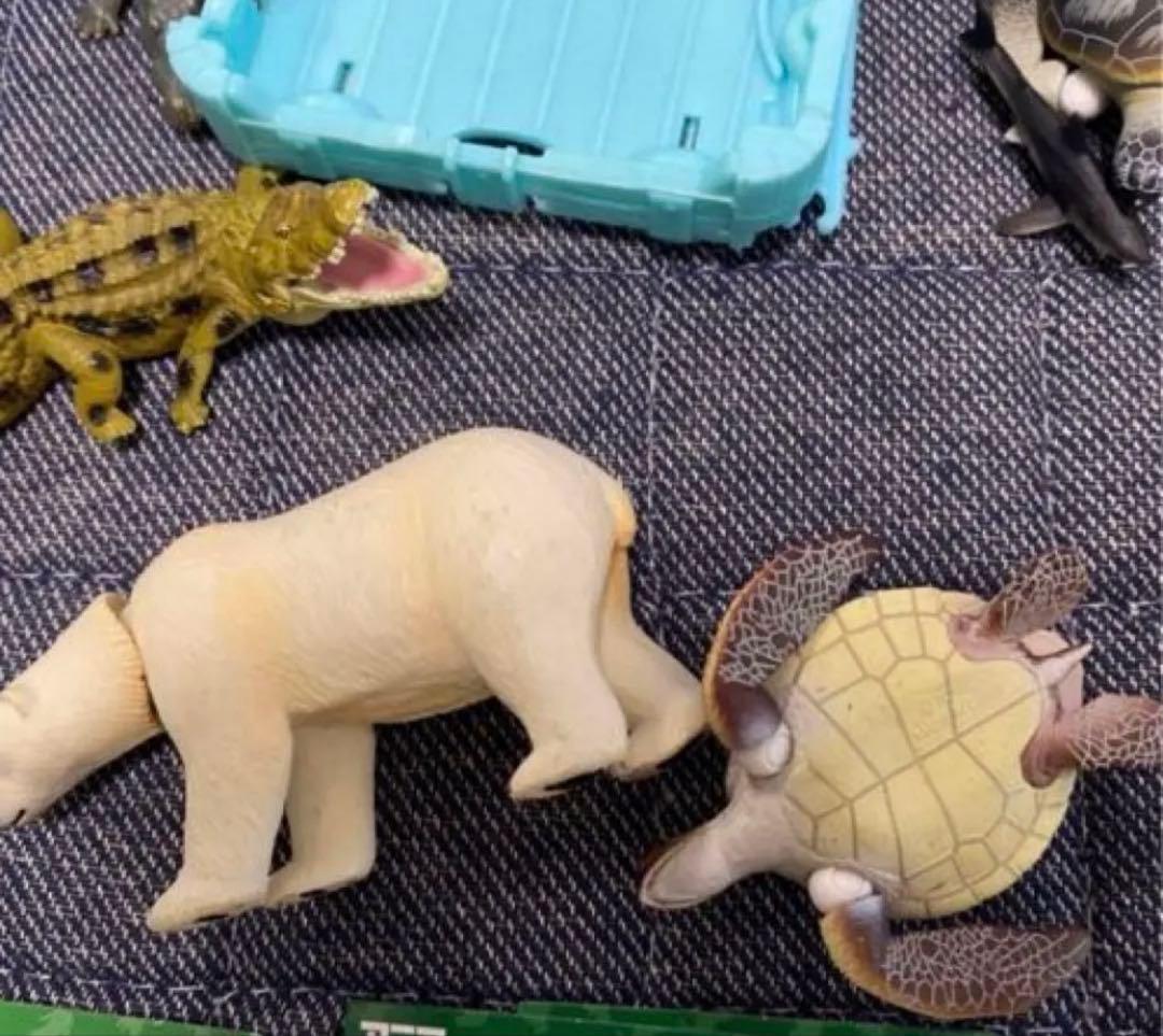 【クジラアイランド】【アニア】【廃盤品】【まとめ売り】追加あり