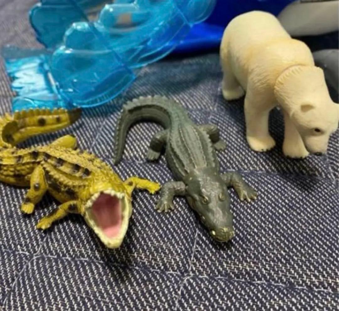 【クジラアイランド】【アニア】【廃盤品】【まとめ売り】追加あり