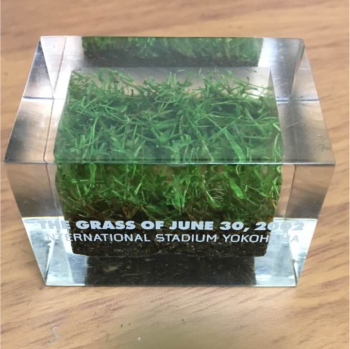 2002年W杯、決勝戦の芝！正規品！