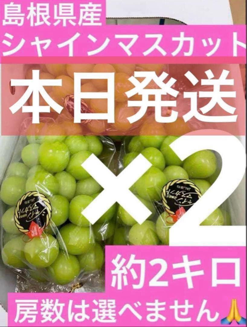 66【島根県産】シャインマスカット約2キロ(3〜5房)×2