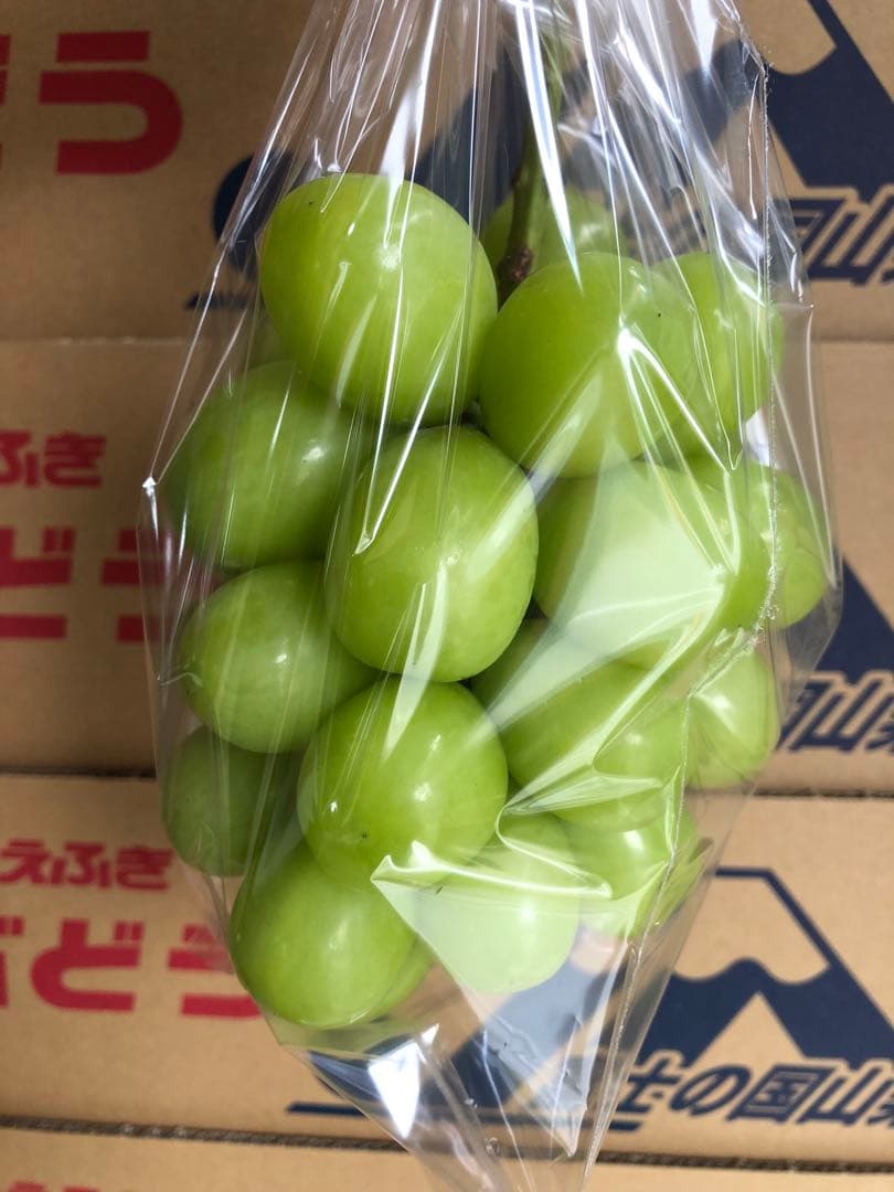 #3 富士の輝き　サンシャインレッド　マイハート　シャインマスカット 他3kg