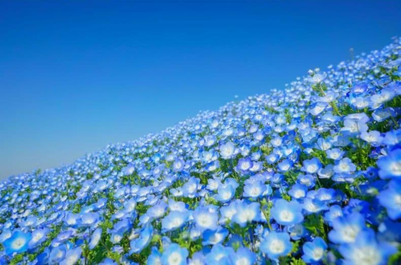 その他 01