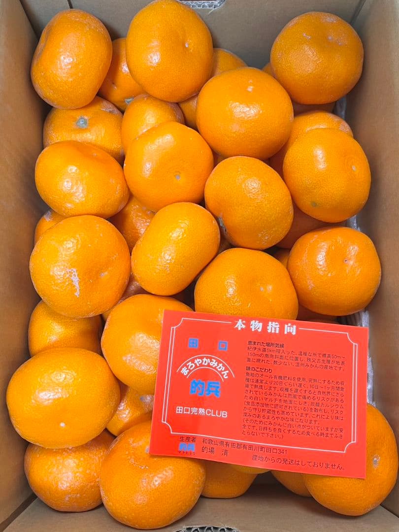 日本一のみかん　「的兵みかん」丹生系赤秀品L5キロ