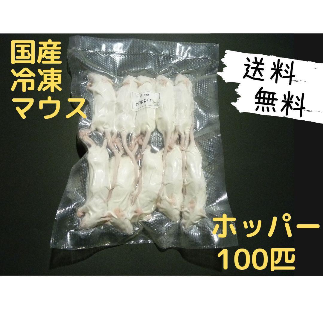 国産冷凍マウス ホッパー 100匹　送料無料（一部地域発送不可)