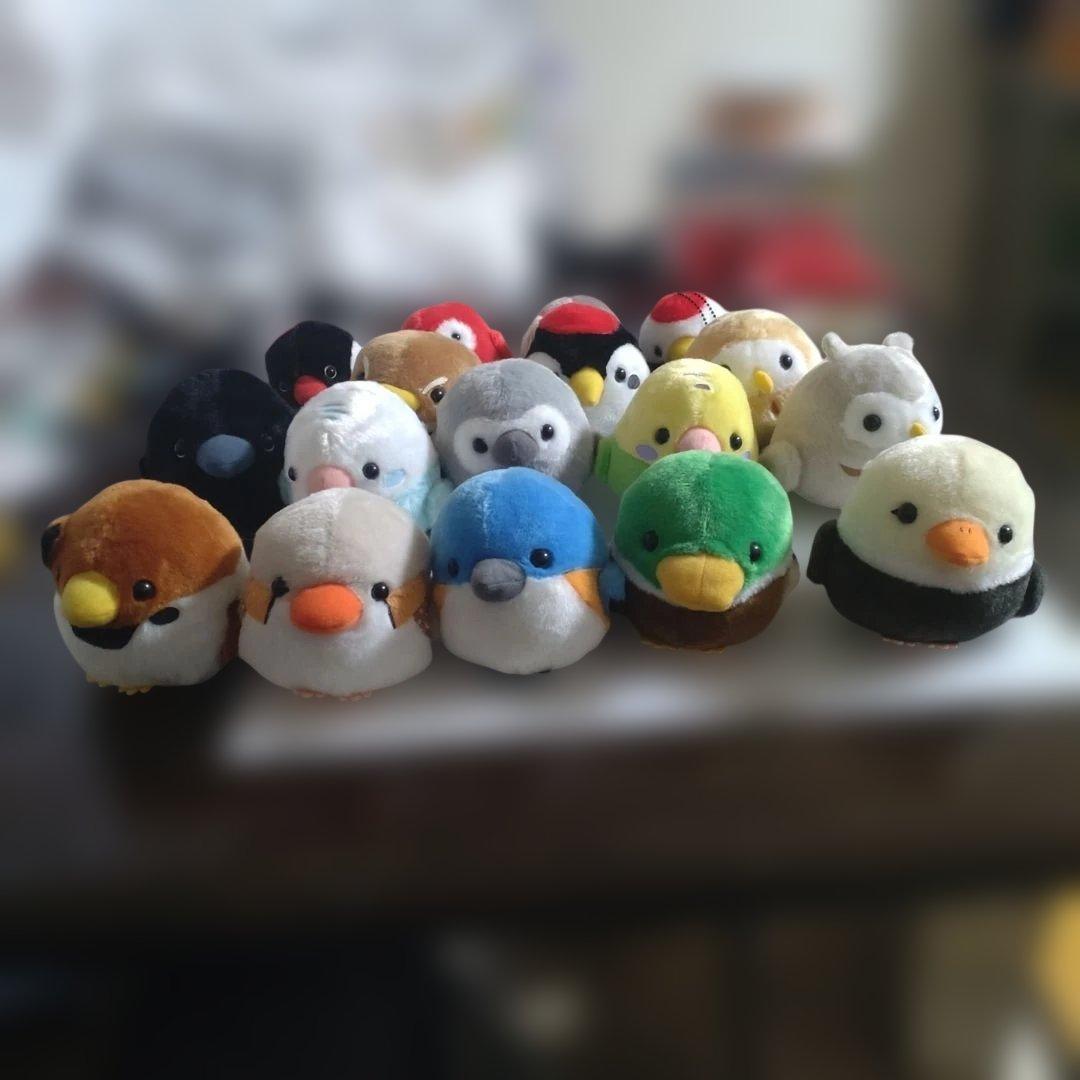 未使用品　ことり隊　ぬいぐるみ　17体セット