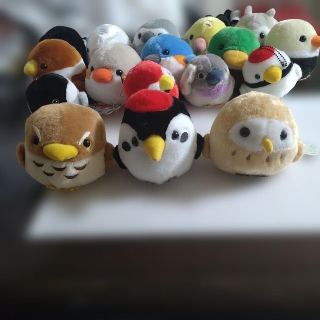 未使用品　ことり隊　ぬいぐるみ　17体セット