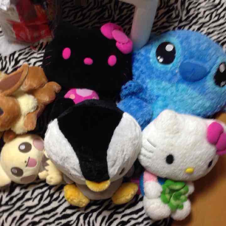 ぬいぐるみ 着払い555円