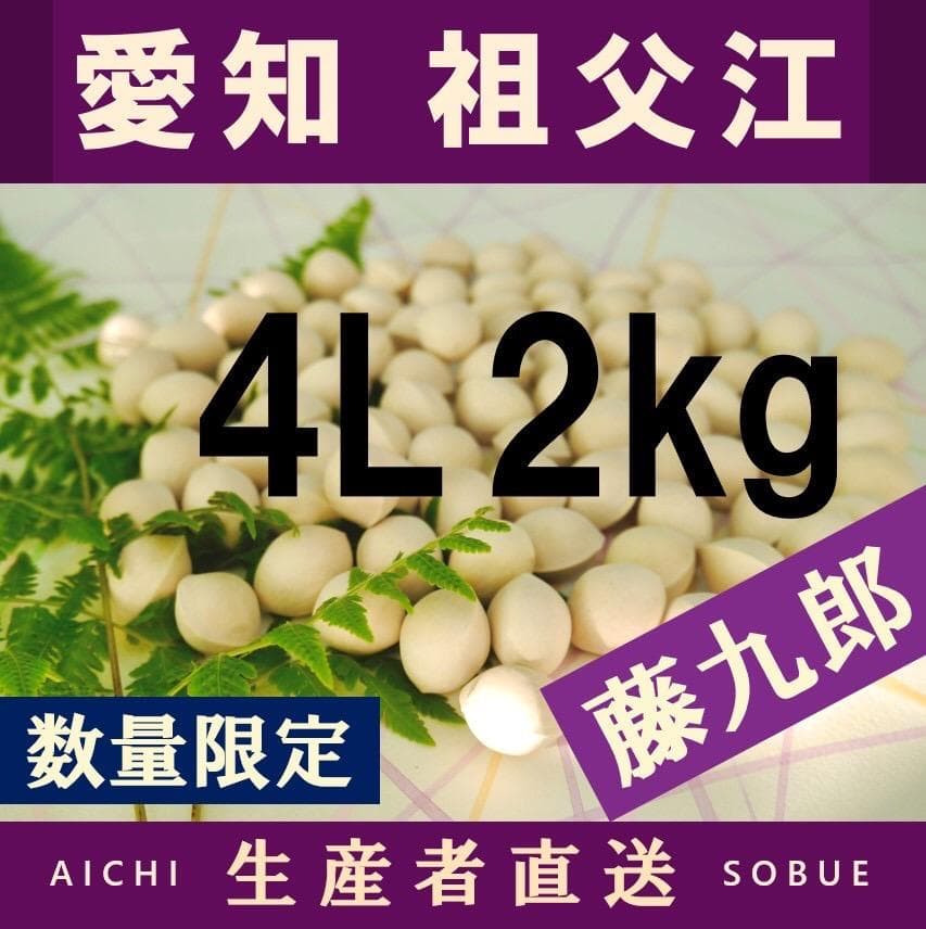2025年新物 藤九郎 銀杏 祖父江産 4L 2kg