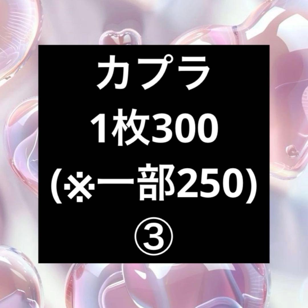 カプラ ③