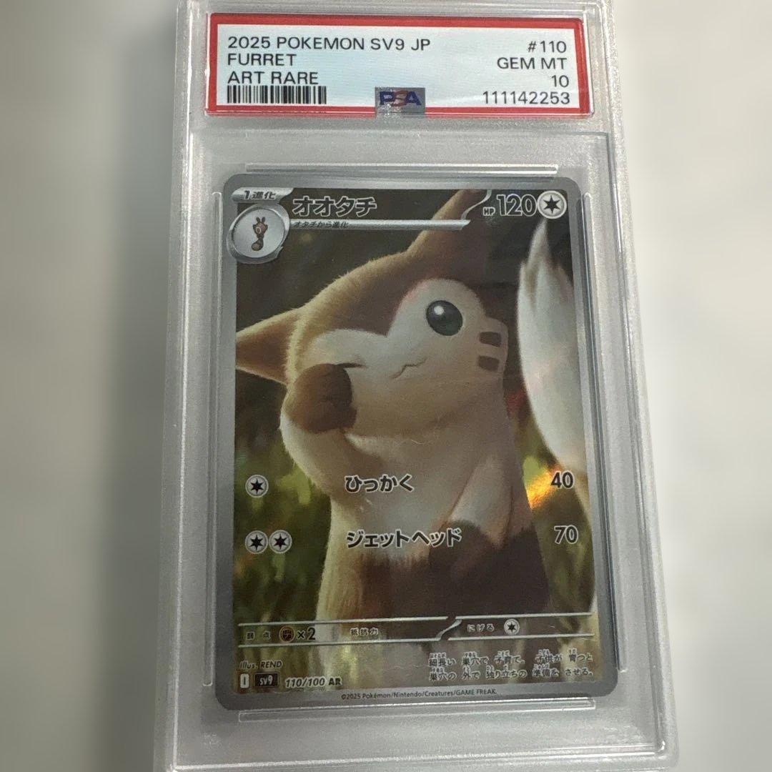 AR オオタチ PSA10