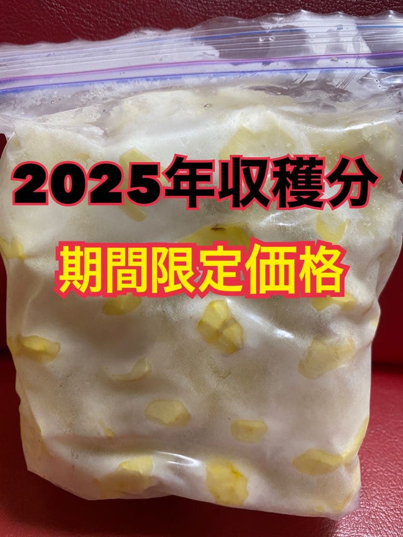 期間限定　熊本産和栗　むき栗