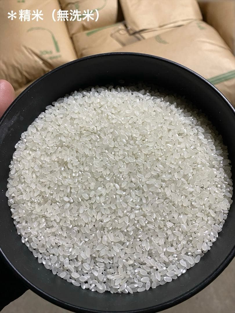 令和7年　はえぬき　無洗米　約27kg+約2kg（つきあかり　無洗米）