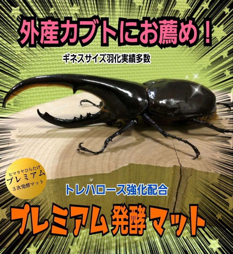 極上！プレミアム3次発酵ヘラクレスマット【5袋】特殊アミノ酸強化配合！産卵にも！