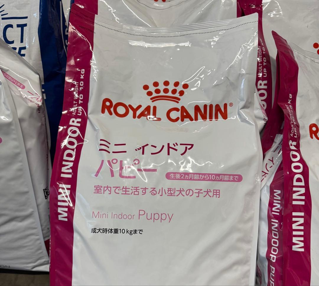 ロイヤルカナン　ミニインドアパピー　10kg 今日現在在庫3つ
