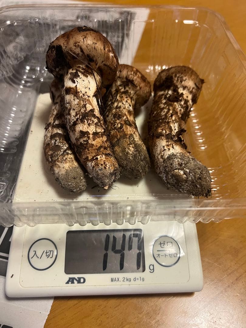 信州産松茸　147g