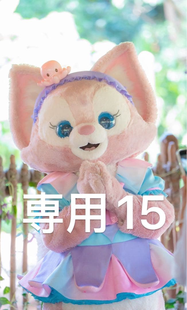 専用15