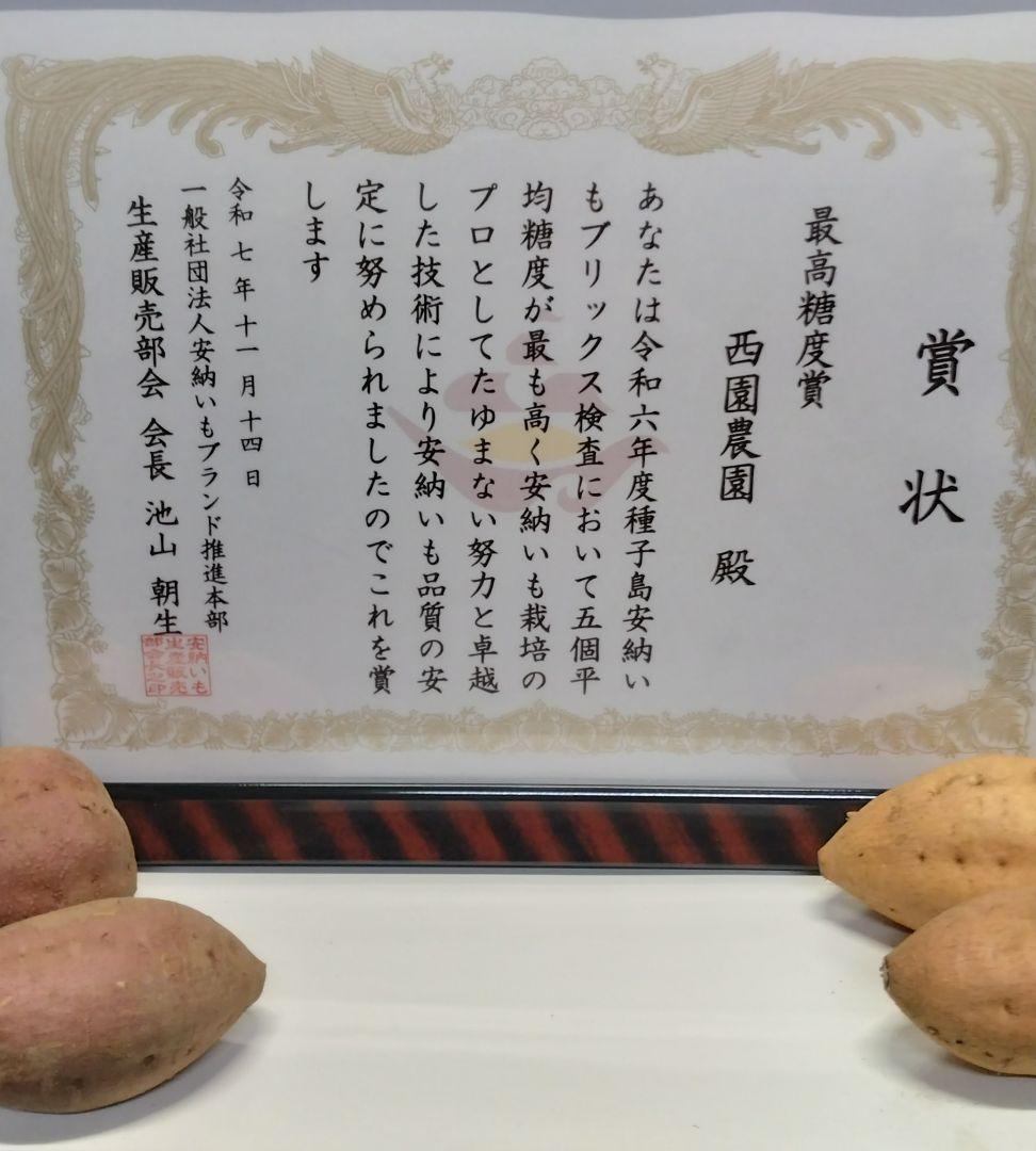 種子島安納いも 2Sサイズ 紅 15キロ