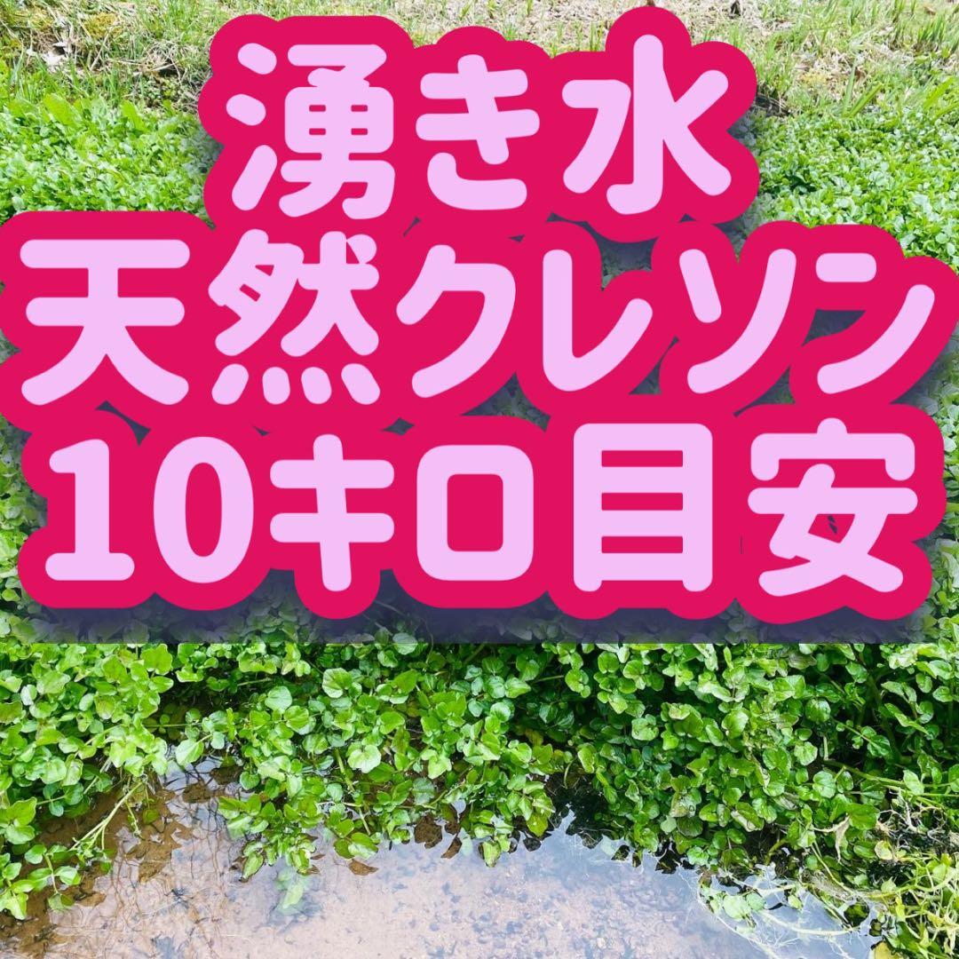 10キロ　クレソン　みかん2箱分　常温発送