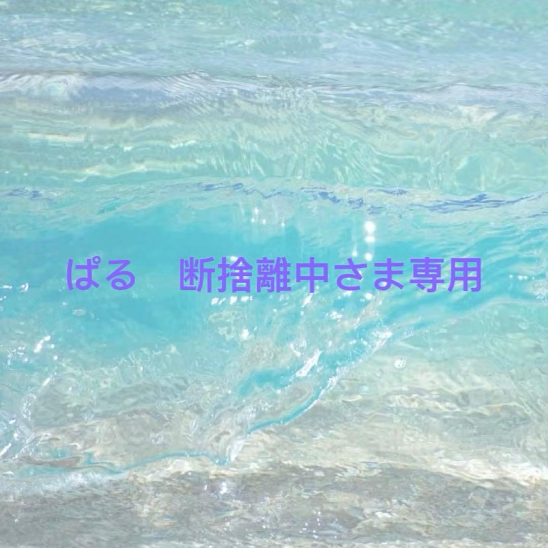 ぱるさま専用